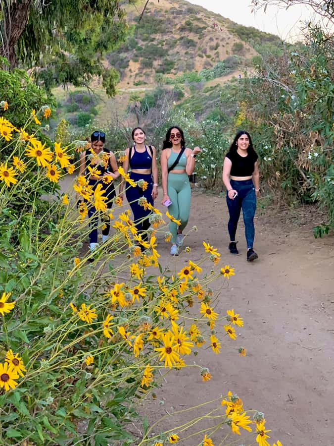Hollywood Walking & Hiking Sunset Tour with LA Skyline Views - Who This Sunset Walk-and-Hike Is Best For