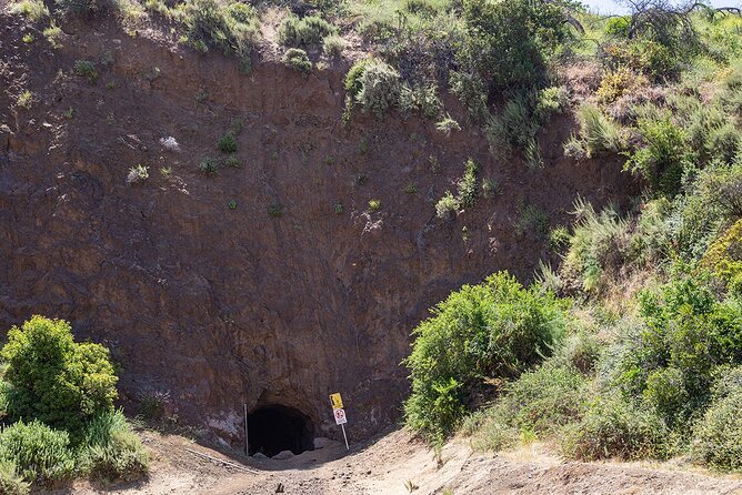 Holy Biodiversity, Batman! A Naturalist's "Batcaves" Tour - Where It Starts in Los Angeles (and How the Tour Feels)