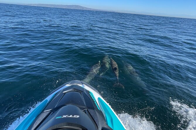 Jetski Adventure: Guided Trip from Long Beach to Catalina Island - Bottom Line: Should You Book This Catalina Jet Ski?