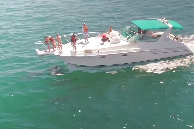 LA: Birthday Special Private Yacht (1 ticket covers 1-6 people) - When this yacht cruise is the right fit