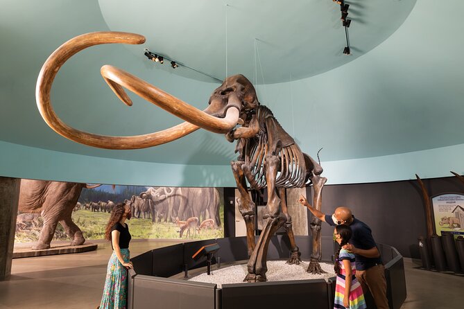 La Brea Tar Pits and Museum Admission Ticket with Excavator Tour - Lake Pit Tar Bubbles and the Outdoor Dig Sites You Can Walk Up To