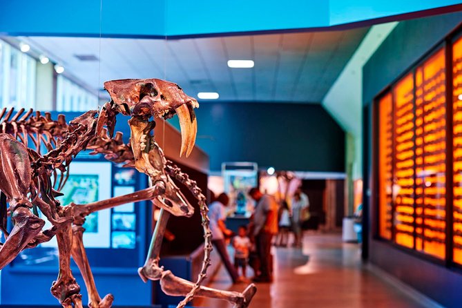 La Brea Tar Pits and Museum Admission Ticket with Excavator Tour - Entering The La Brea Experience: What a Ticket Really Gets You