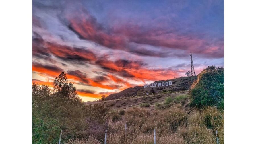 LA: Hollywood Sign Tour with Comedians, Dogs, & Epic Photos - Photo stops that feel like mini pro-shoots