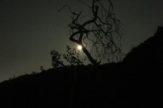LA Night Hikers - Hollywood Hills Night Hike Setup: What You Are Paying For
