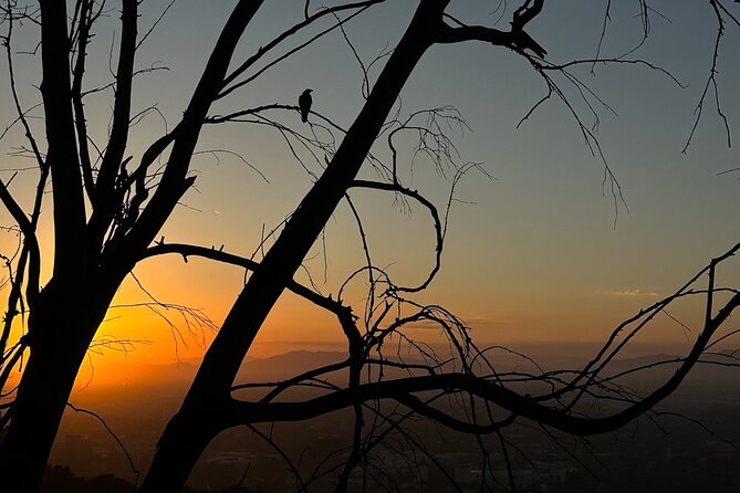 LA Night Hikers - Ghost Stories and the Paranormal Mood, Without the Gimmicks