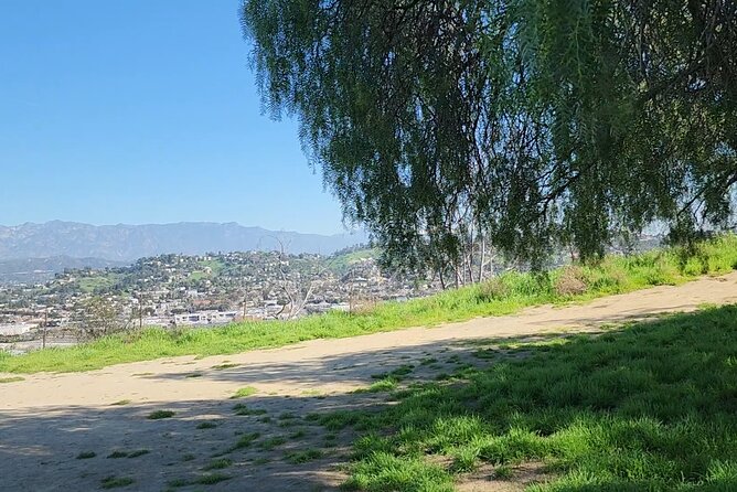 LA River Eco Tour and Secret Stair Hike - Stop 4: Echo Park hills, secret stairs, and a swing with a view