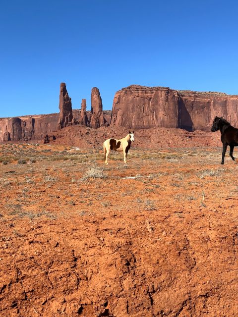 LA: San Francisco, Yosemite, Las Vegas, Antelope, 8-Day Tour - Valley of Fire: a last desert stop that deserves a slow look