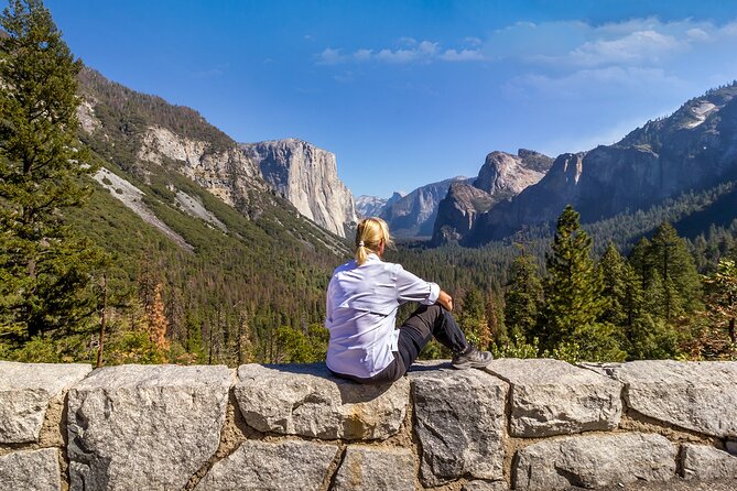 LA: San Francisco, Yosemite, Vegas, Grand Canyon &more 7days - Bus comfort, guide help, and the luggage reality