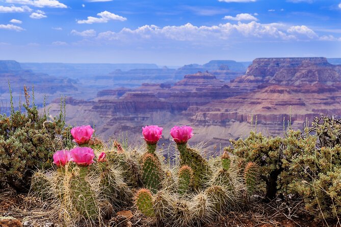LA: San Francisco, Yosemite, Vegas, Grand Canyon &more 7days - Price and value: where the $1,465 goes