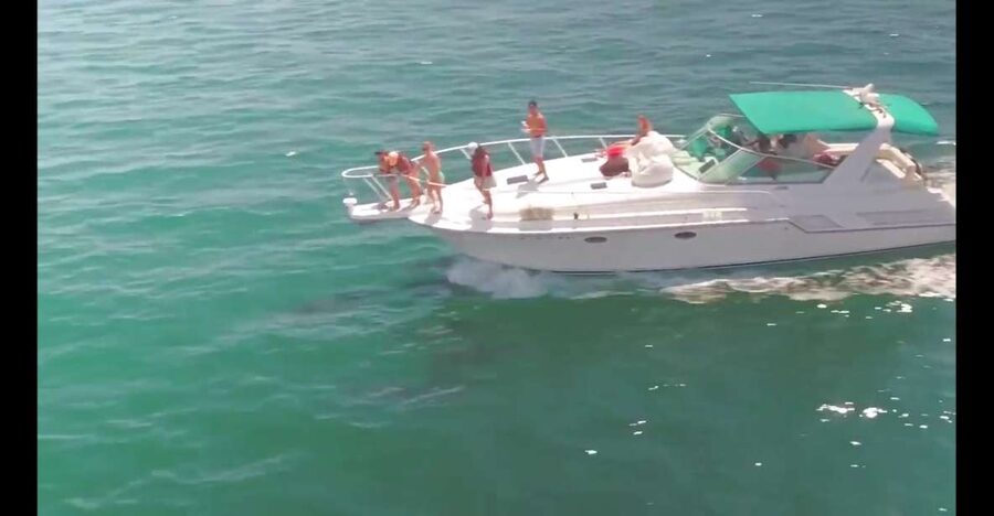 Long Beach: 2-Hour Private Group Yacht Cruise - Key things you’ll notice on this private Long Beach yacht cruise