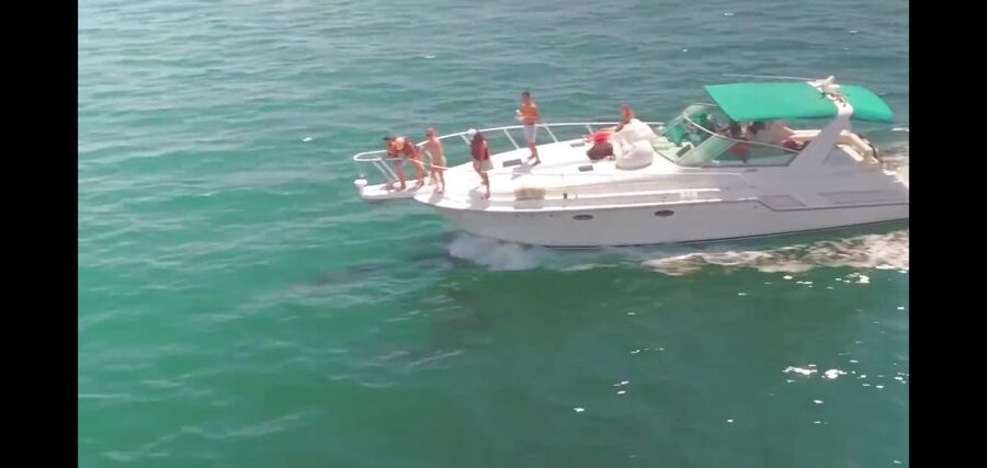 Long Beach: 2-Hour Private Group Yacht Cruise - Where you cruise: LA County and the Long Beach waterfront in real time