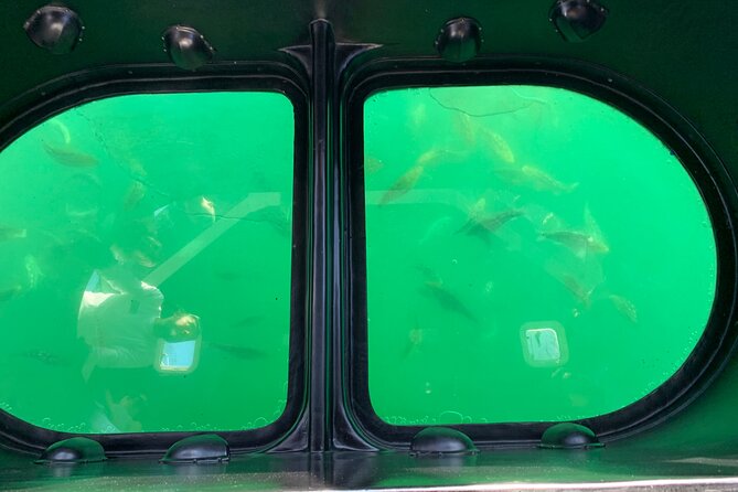 Long Beach Glass Bottom Boat Eco-Tour - Key Highlights You’ll Actually Care About