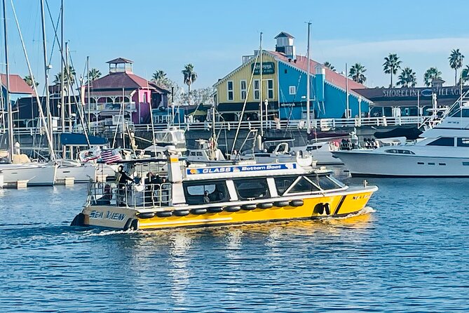 Long Beach Glass Bottom Boat Eco-Tour - Price and Value: What $30 Gets You
