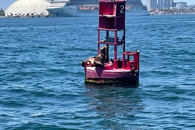 Long Beach Glass Bottom Boat Eco-Tour - The Queen Mary Close-Up Stop You Can Build a Memory From