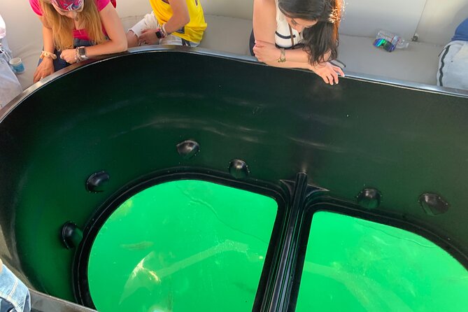 Long Beach Glass Bottom Boat Eco-Tour - Glass-Bottom Reality Check: Where to Look and How It Feels