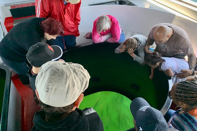Long Beach Glass Bottom Boat Eco-Tour - Onboard Comfort, Crew Energy, and the Family Factor