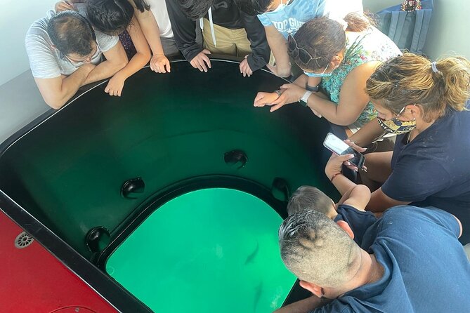 Long Beach Glass Bottom Boat Eco-Tour - Getting On the Boat at Long Beach Glass Bottom Boat (401 E Shoreline Dr)