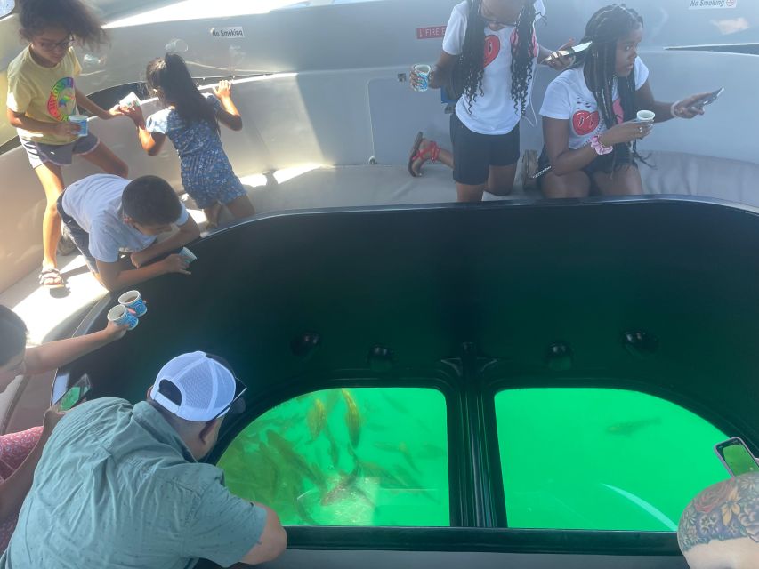 Long Beach: Glass Bottom Boat Harbor Ecotour - Glass-Bottom Fun in Long Beach’s Port Ecosystem