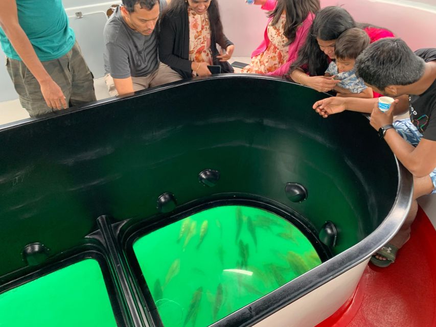 Long Beach: Glass Bottom Boat Harbor Ecotour - The Guide Experience: Education Without the Boredom