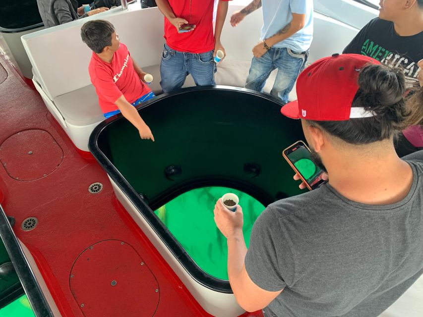 Long Beach: Glass Bottom Boat Harbor Ecotour - Who This Tour Fits Best (and Who Might Want Something Else)