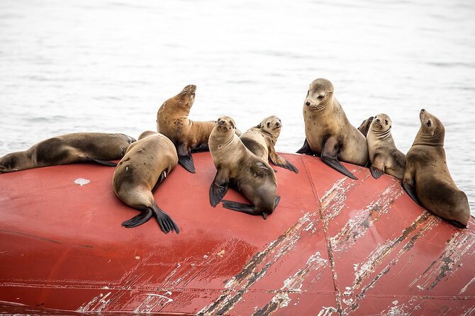 Long Beach Harbor 45-Minute Boat Tour - Key Highlights Worth Planning For