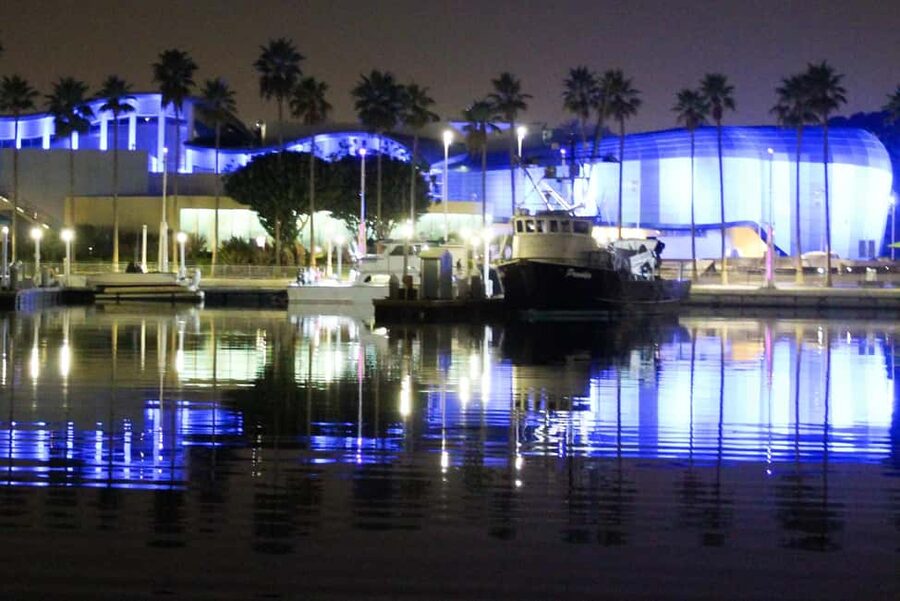 Long Beach: Private Night Yacht Cruise With City Lights - Sea life and city lights: how to maximize both
