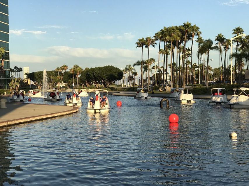 Long Beach: Swan Boat Rental at Rainbow Lagoon - Price and Value: Is $13 Per Person a Good Deal?