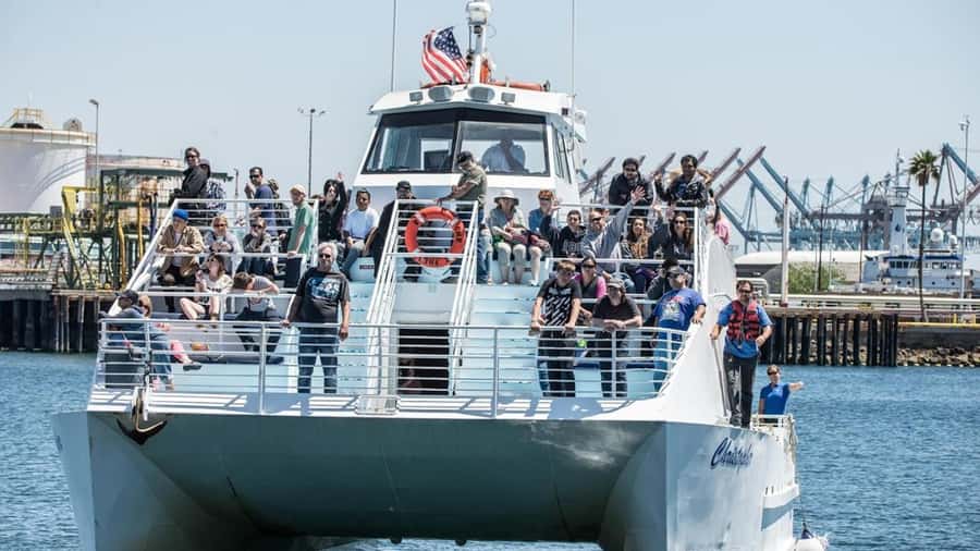 Long Beach: Whale and Dolphin Watching Cruise - Wildlife sightings: whales, dolphins, seals, seabirds, and the reality check