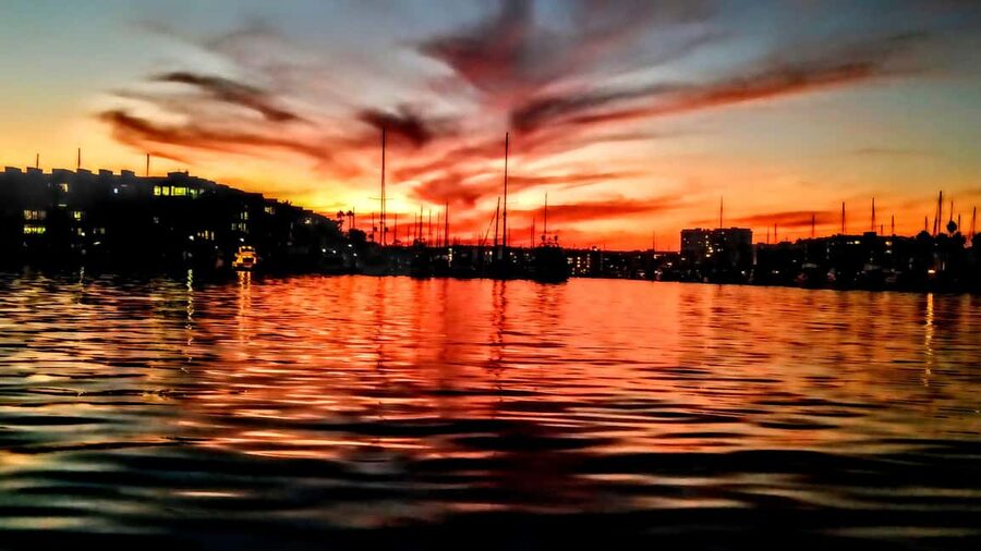 Los Angeles #1: Luxury Boat Cruise-Wine, Cheese & Sea Lions - The food and wine setup, and how to think about value