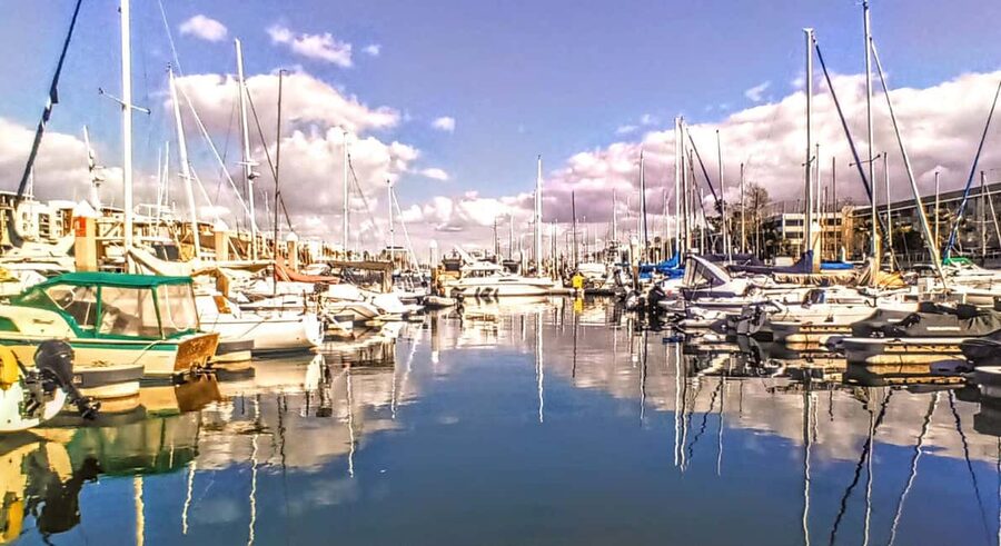 Los Angeles #1: Luxury Boat Cruise-Wine, Cheese & Sea Lions - A simple walkthrough of your 2-hour time on the water