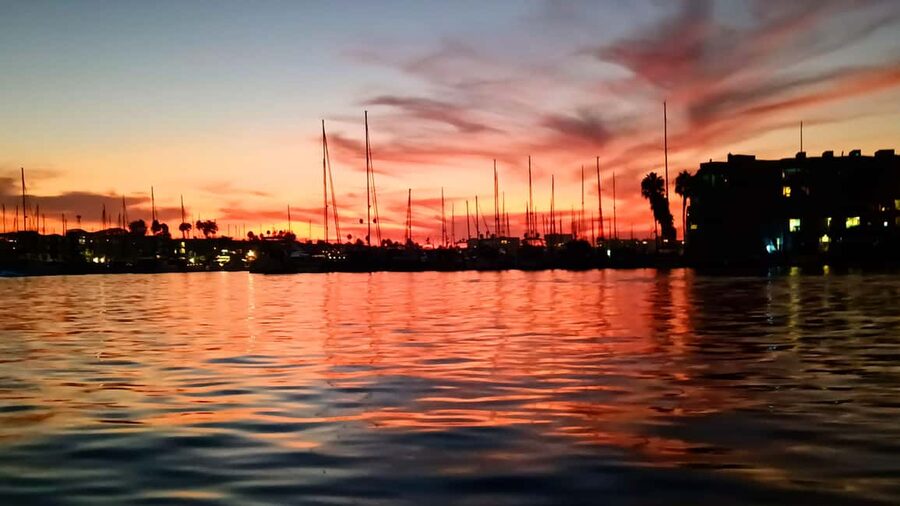 Los Angeles #1: Luxury Boat Cruise-Wine, Cheese & Sea Lions - Shared or private, and how group size changes your experience