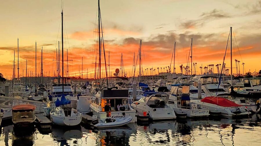 Los Angeles #1: Luxury Boat Cruise-Wine, Cheese & Sea Lions - The quiet electric Duffy boat, and why it matters more than you think