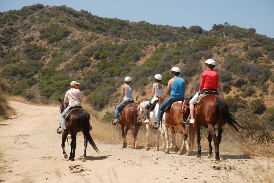 Los Angeles: 2-Hour Hollywood Trail Horseback Riding Tour - Why Horseback in Griffith Park Beats Another LA View