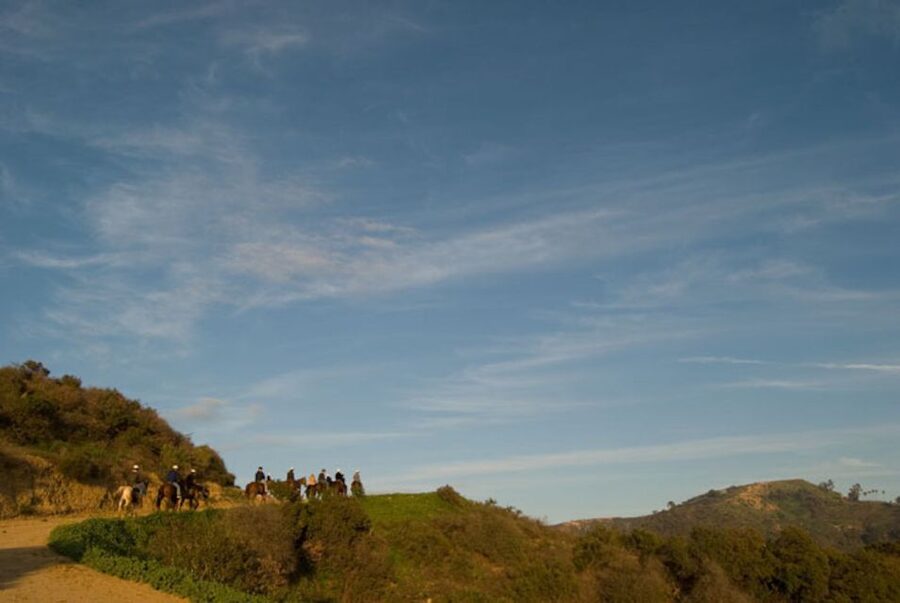 Los Angeles: 2-Hour Hollywood Trail Horseback Riding Tour - Trail Dynamics and the Height Question You Must Take Seriously