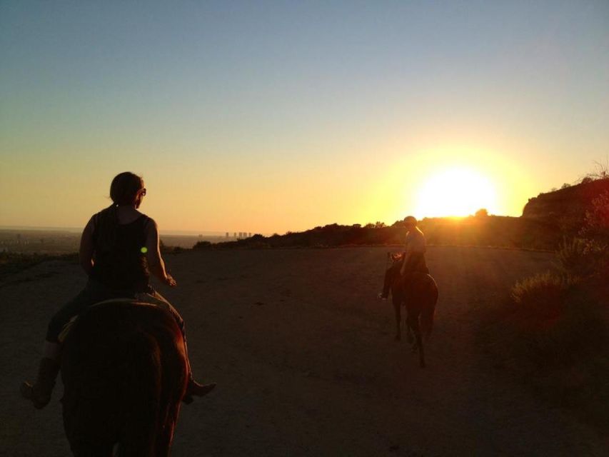 Los Angeles: 2-Hour Hollywood Trail Horseback Riding Tour - Group Size, Guides, and the Pace You Feel in Your Body