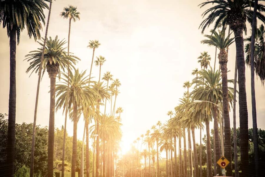 Los Angeles 4-Hour Private Tour: Beverly Hills & More - How the 4 Hours Works in the Real World