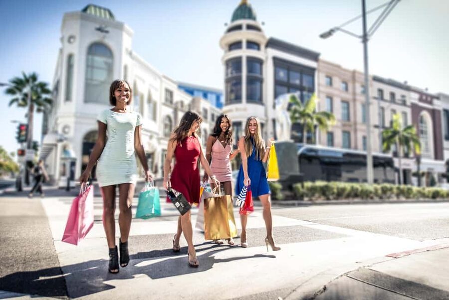 Los Angeles 4-Hour Private Tour: Beverly Hills & More - Hollywood Walk of Fame and the Chinese Theater Area