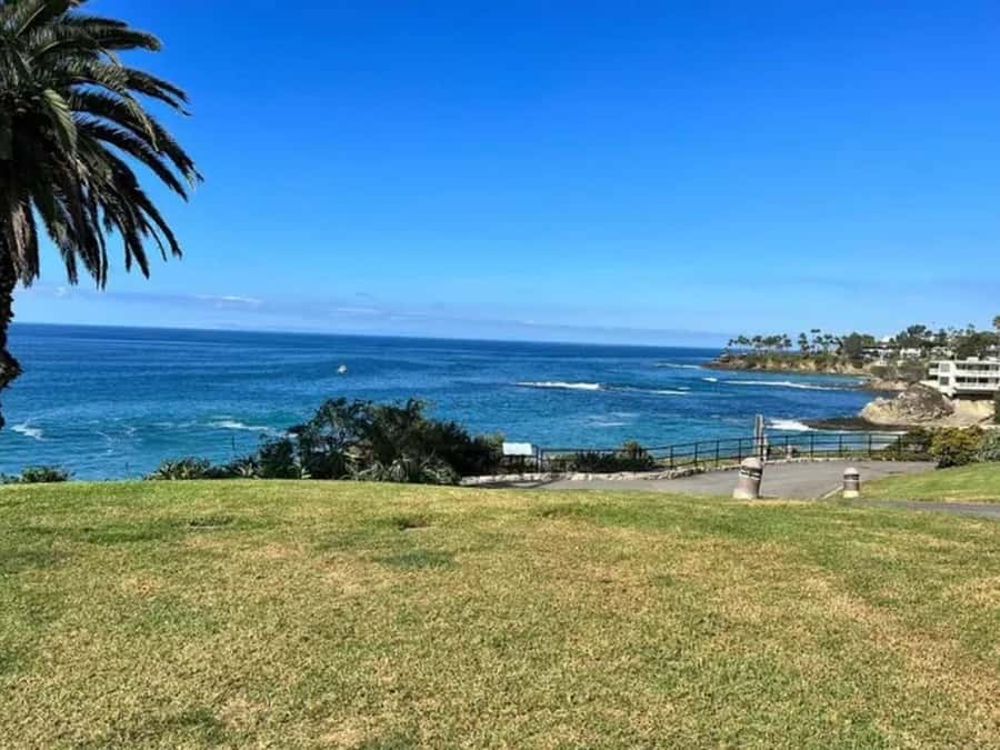 Los Angeles: Best Beaches Tour from Anaheim - Meet the small-group tour and your guide, Rick