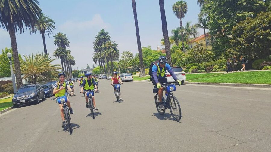 Los Angeles: Bike Rental (all types) - LA in Your Own Time: Hollywood, Beverly Hills, and Bel-Air by Bike