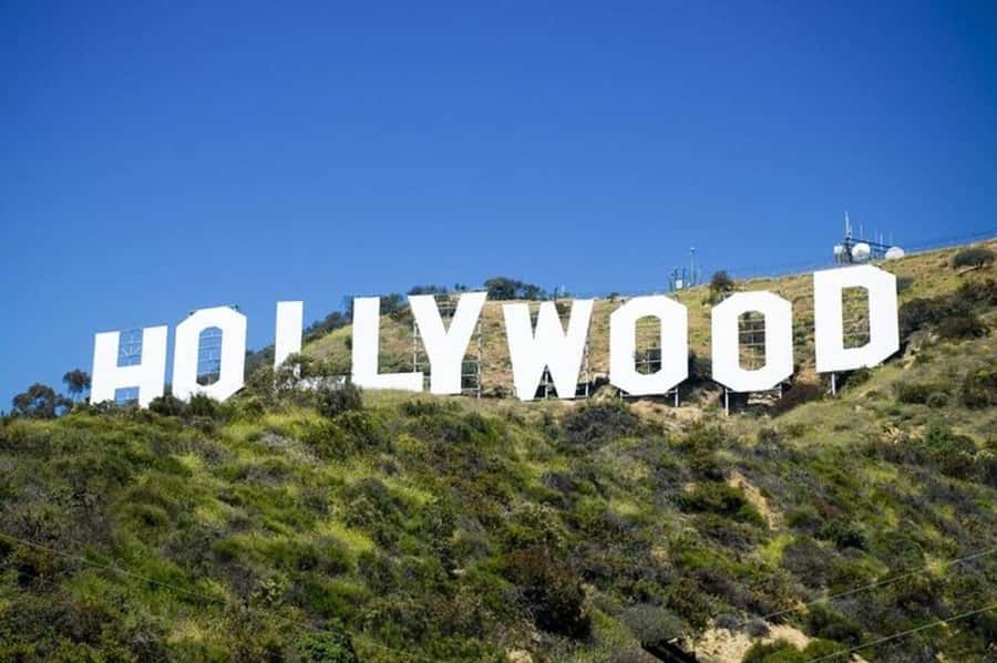 Los Angeles: City Highlights Tour From Cruise Port - Getting started from the Long Beach or San Pedro cruise terminals