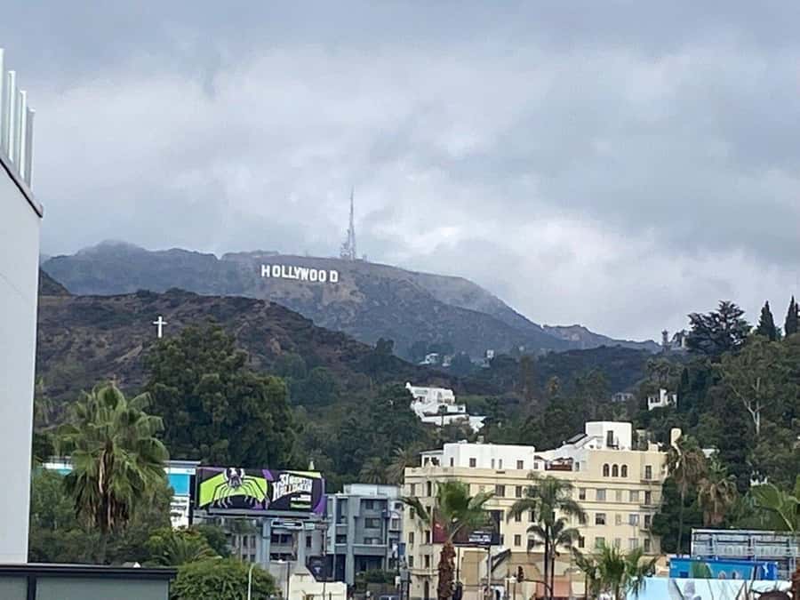 Los Angeles: City Highlights Tour From Cruise Port - Price and logistics value for a cruise-day LA hit