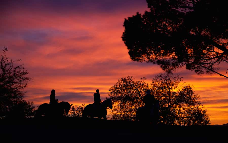 Los Angeles: Evening 2-Hour Hollywood Horseback Riding Tour - Key things to know before you go