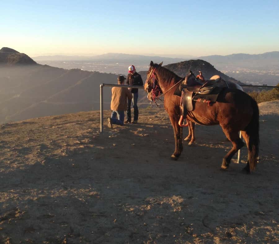 Los Angeles: Evening 2-Hour Hollywood Horseback Riding Tour - Sunset Ranch Hollywood: where the ride begins (and how to get there)