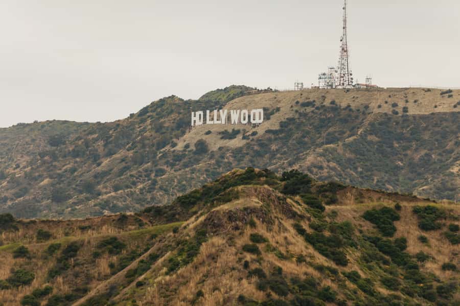 Los Angeles: Half-Day Best of LA Tour - Beverly Hills and Rodeo Drive: what you see, what you do not
