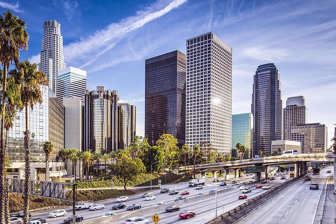 Los Angeles Half Day Private Tour - Getting going: pickup, mobile ticket, and smooth logistics