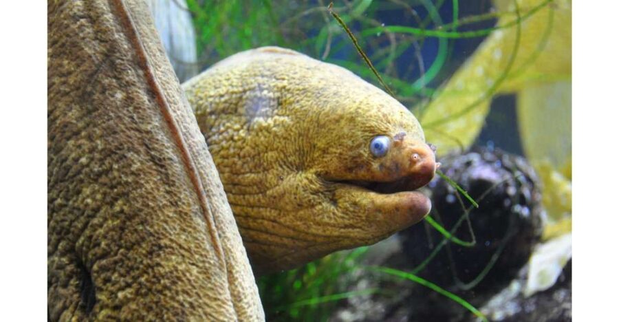 Los Angeles: Heal The Bay Aquarium in Santa Monica - Heal The Bay Aquarium in Santa Monica: what this place is really like