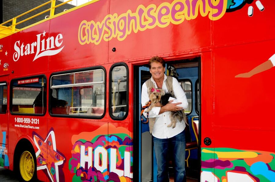 Los Angeles: Hop-On Hop-Off Bus Tour with Audio Guide - Audio Guide in 9 Languages: Helpful Facts With a Few Friction Points