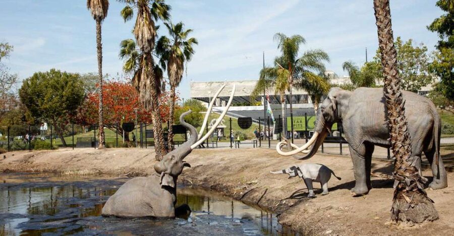 Los Angeles: La Brea Tar Pits Museum Ticket - Key Highlights You Should Not Miss