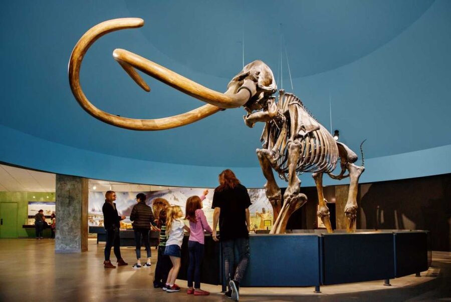 Los Angeles: La Brea Tar Pits Museum Ticket - The Excavator Tour: Free, Popular, and Not Guaranteed