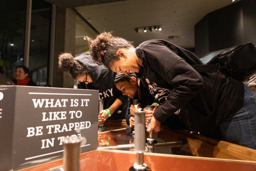 Los Angeles: La Brea Tar Pits Museum Ticket - Getting Your Bearings at Page Museum (Meet Your Ice Age)